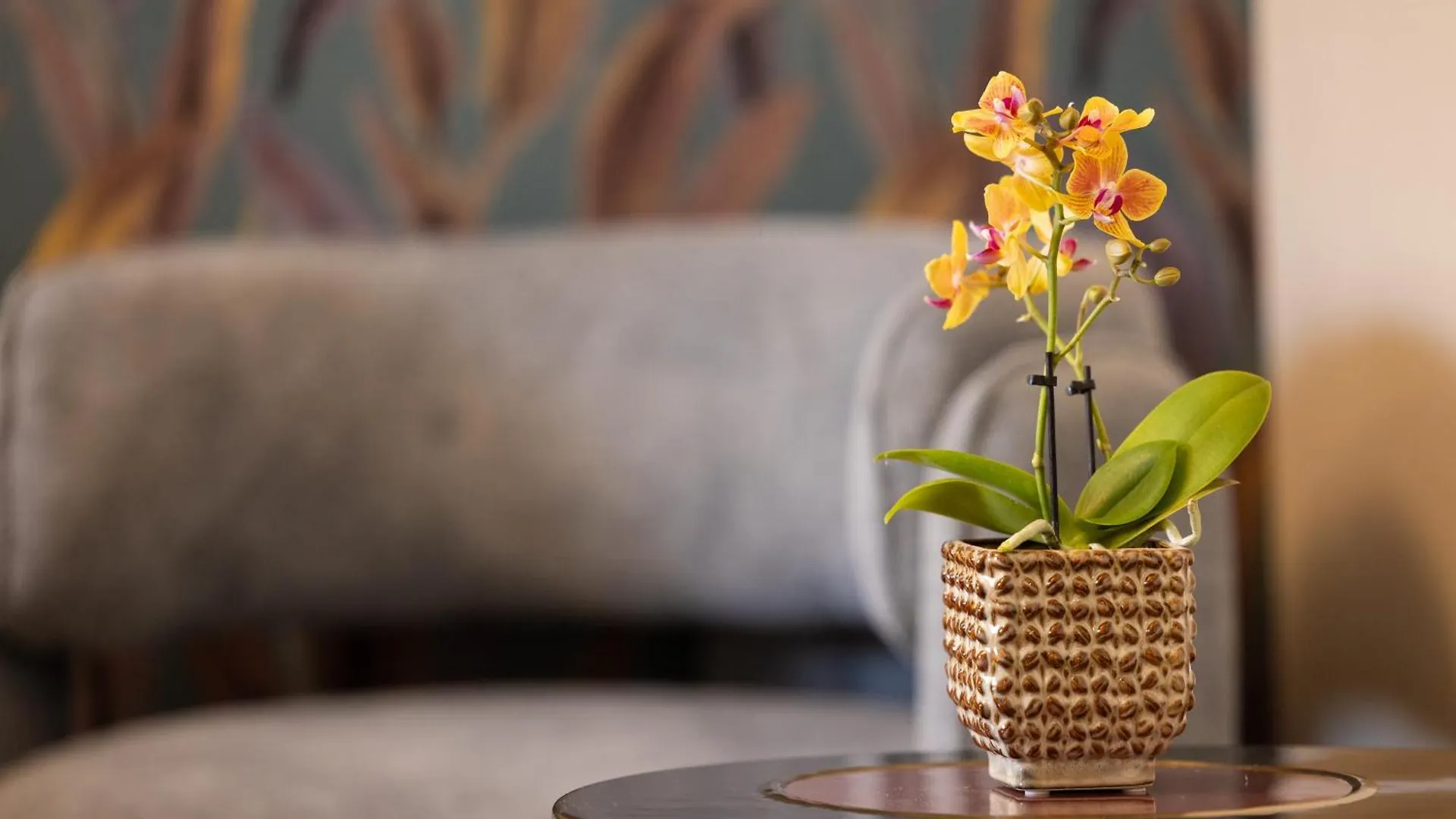 Mavi Luxury Suites Rome Bed & Breakfast